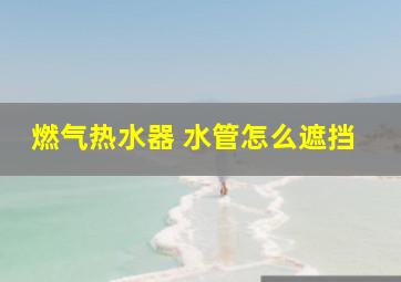 燃气热水器 水管怎么遮挡